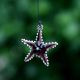 Multicolor Beach Theme Assorted Starfish Christmas Tree Ornaments Set of 10 Pcs